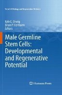 مرد سلول های بنیادی ژرم : پتانسیل رشد و بازسازی کنندهMale Germline Stem Cells: Developmental and Regenerative Potential